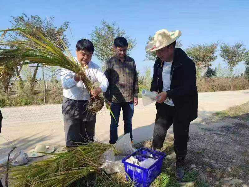 1683946587229836.jpg?x-oss-process=style/w10 微信图片_20230513105619.jpg?x-oss-process=style/w10