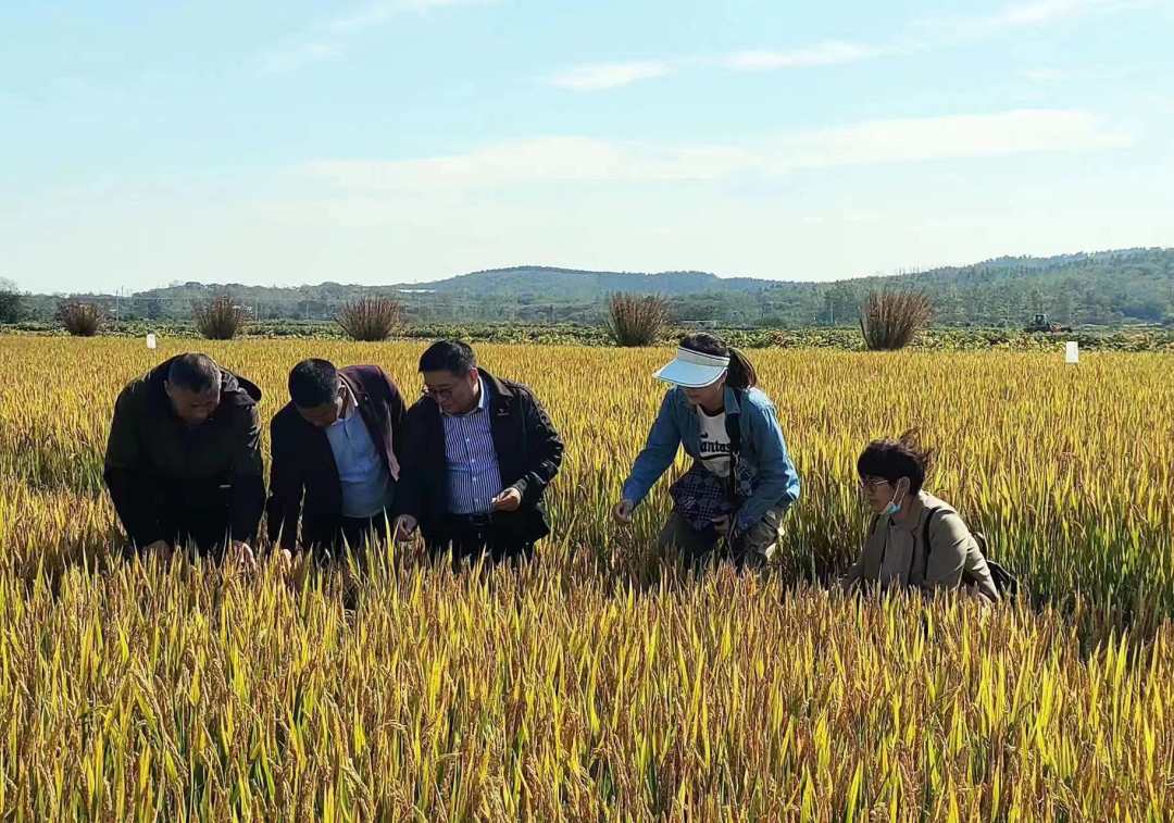 1683946568368687.jpg?x-oss-process=style/w10 微信图片_20230513105601.jpg?x-oss-process=style/w10